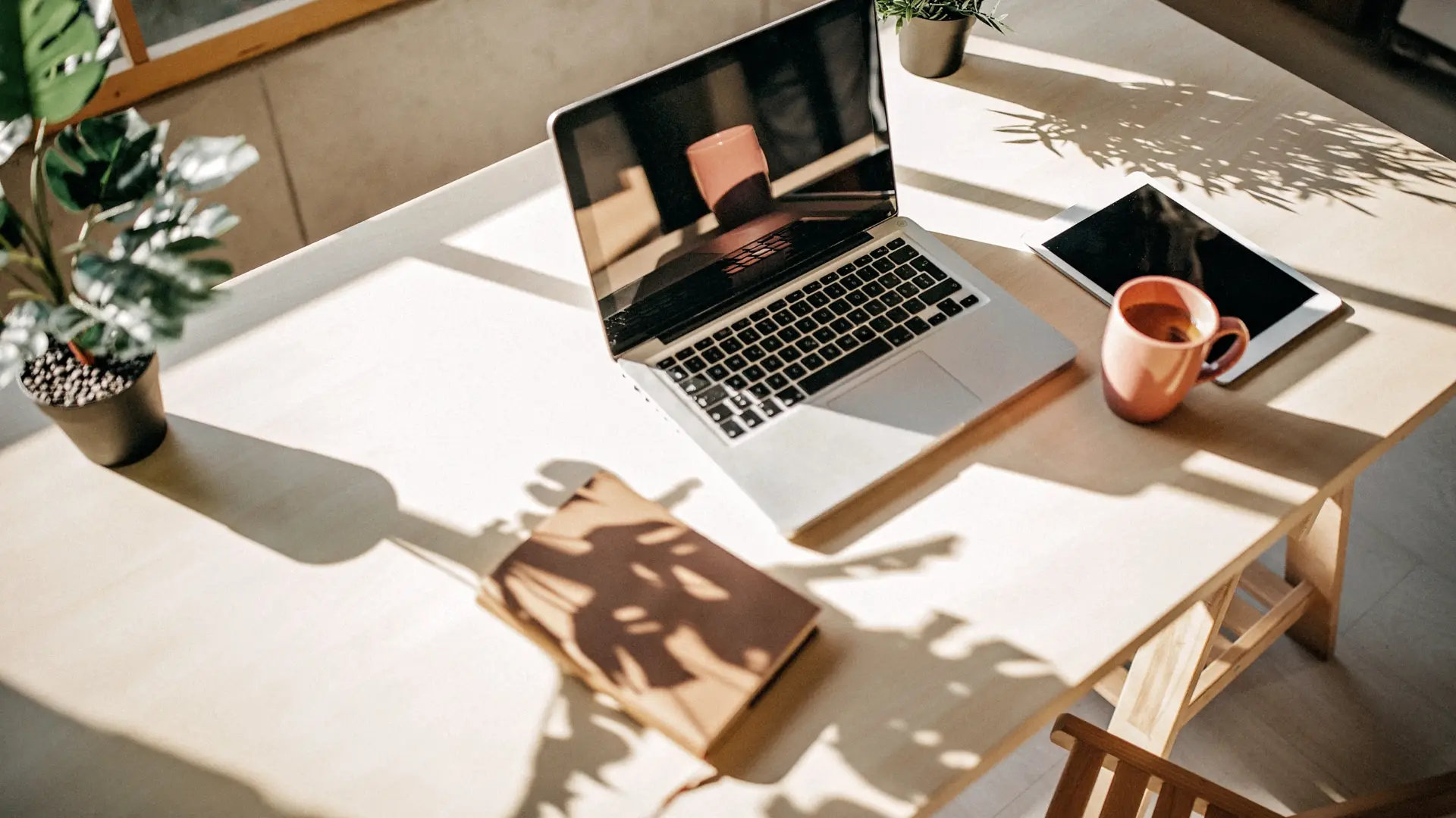 Espacio de Trabajo Productivo